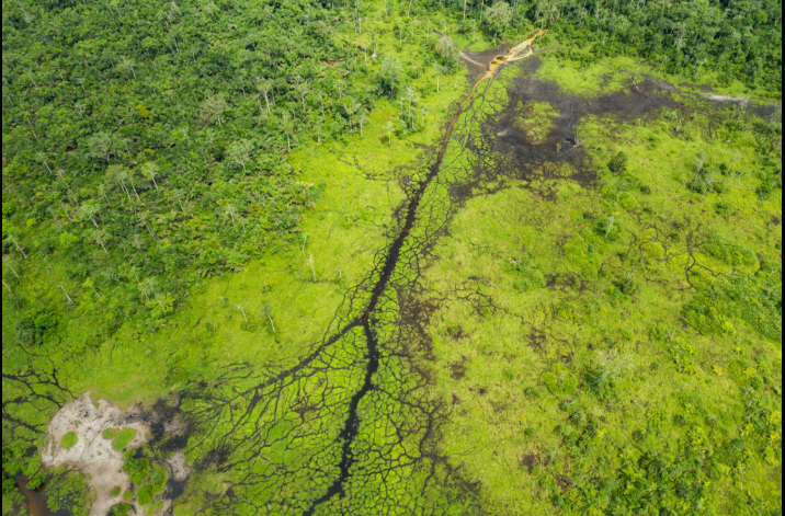 Peatland Degradation Fuels Greenhouse Gas Emissions