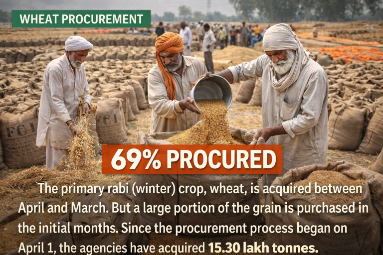 India Wheat Procurement Gains Early Momentum